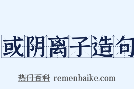 或阴离子造句是什么意思的图片
